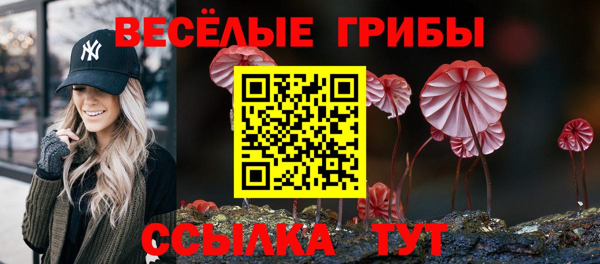 Слободской  Галлюциногенные грибы MAGIC MUSHROOMS  Псилоцибиновые грибы мухоморы  даркнет сайт  Вход с VPN 